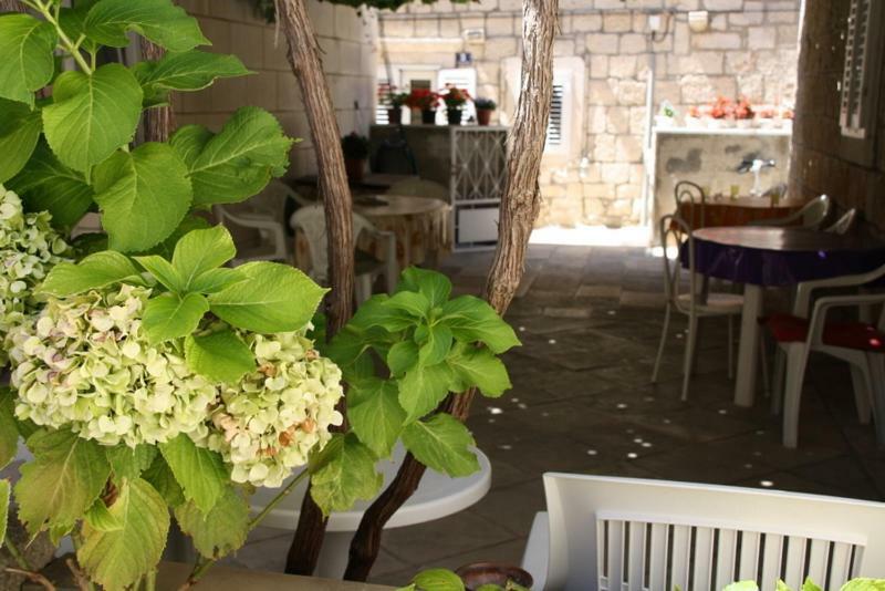 Apartments Pavla Orebić Dış mekan fotoğraf
